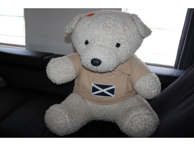 Grote teddybeer - afbeelding 2 van  3