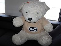 Grote teddybeer - afbeelding 2 van  3