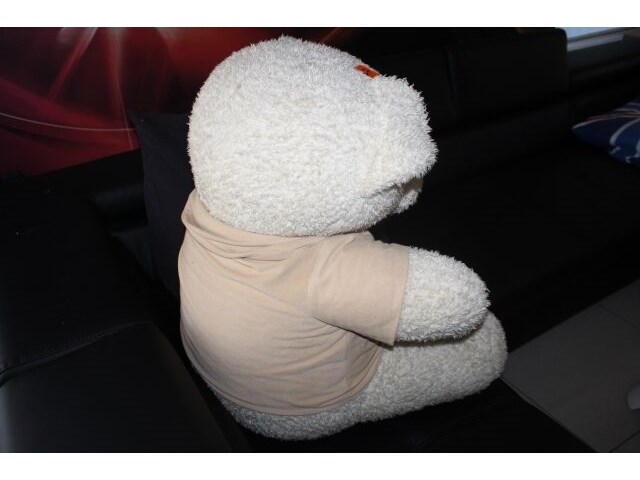 Grote teddybeer - afbeelding 3 van  3
