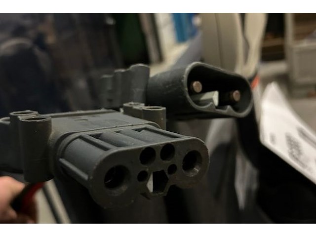 Grown stapelaar - afbeelding 4 van  19