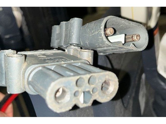 Grown stapelaar - afbeelding 5 van  19