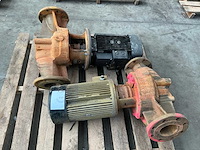 Grundfos diverse pompen (2x) - afbeelding 1 van  3