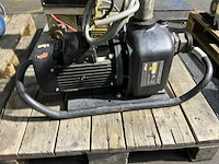 Grundfos pomona 23 waterpomp - afbeelding 3 van  6