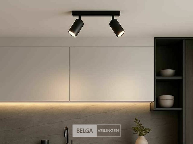 Gu10 opbouwspot armatuur - 2 draaibaar spots (8x) - afbeelding 1 van  5