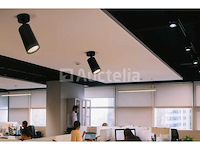 Gu10 opbouwspot armatuur draaibaar - zwart (20x) - afbeelding 3 van  5