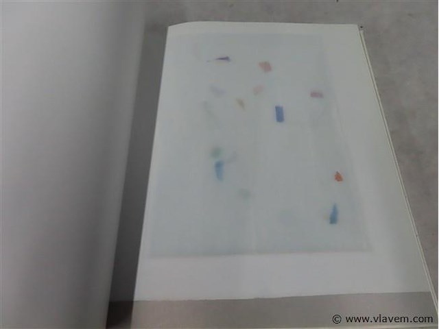 Guy mees - afbeelding 3 van  3