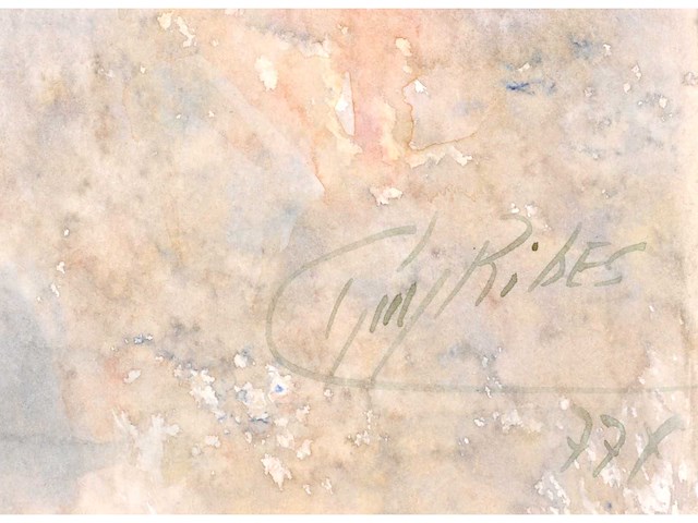 Guy ribes (1948– ) - bloeiend landschap in nevel - aquarel - afbeelding 2 van  6