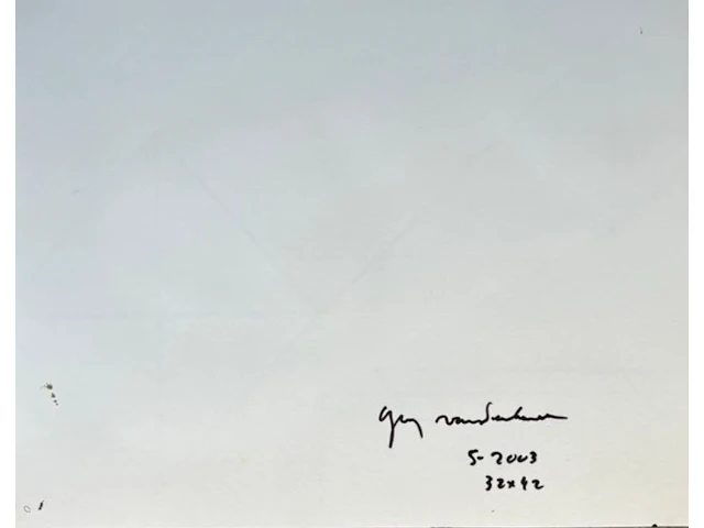 Guy vandenbranden - afbeelding 2 van  3