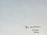 Guy vandenbranden - afbeelding 3 van  3