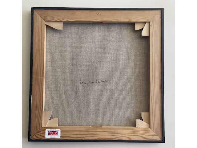 Guy vandenbranden - afbeelding 3 van  4