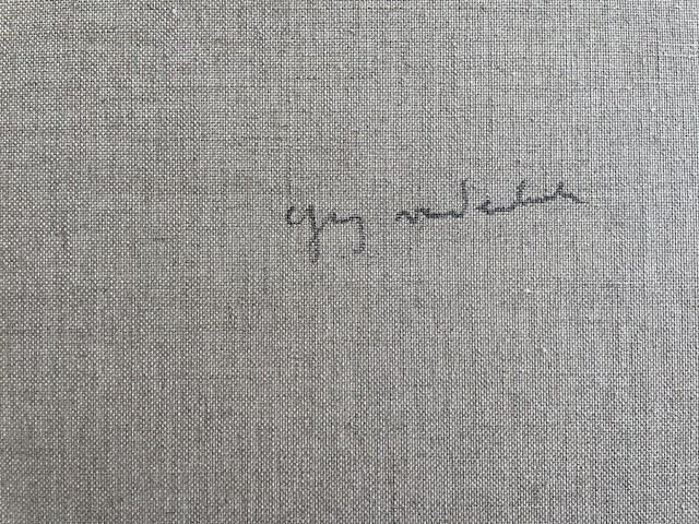 Guy vandenbranden - afbeelding 4 van  4