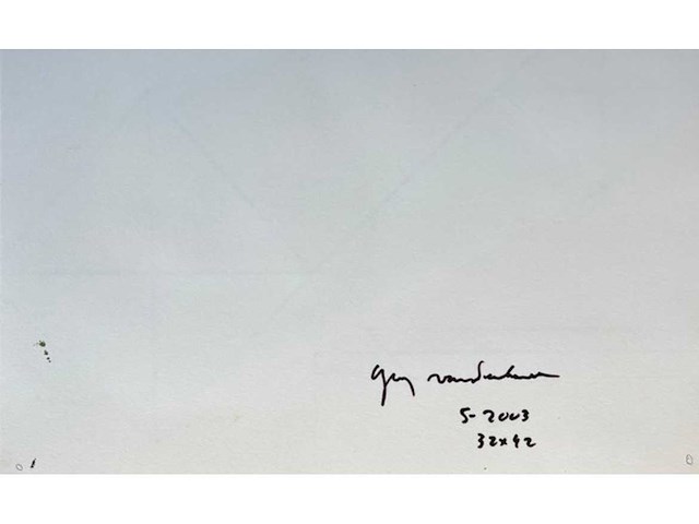 Guy vandenbranden - afbeelding 2 van  2