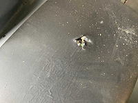 Gym 80 abdominal crunch bench krachtstation - afbeelding 5 van  6