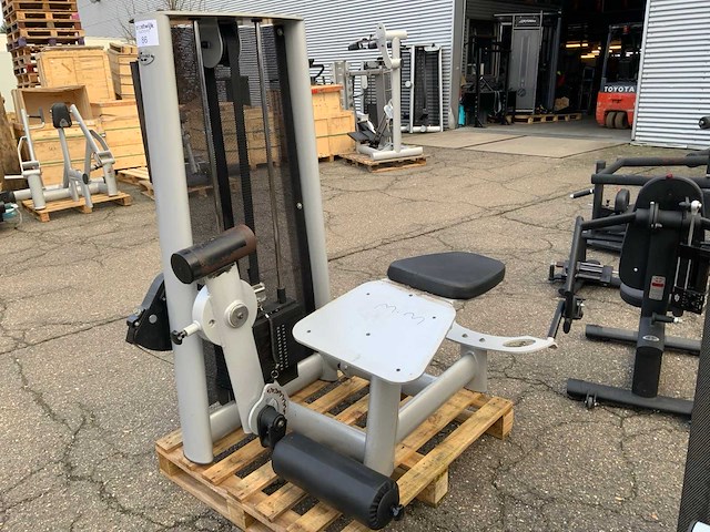 Gym 80 signum phrone legcurl krachtstation - afbeelding 1 van  5
