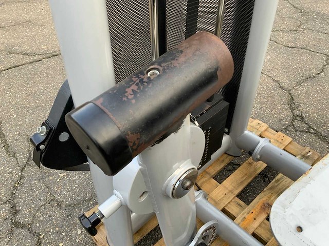 Gym 80 signum phrone legcurl krachtstation - afbeelding 2 van  5