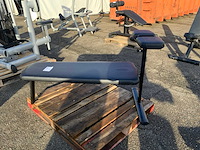 Gym80 signum abdominal flat bench krachtstation