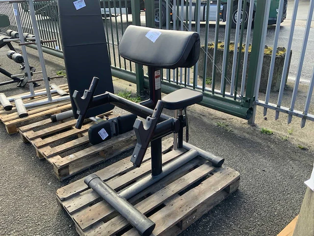 Gym80 signum biceps bench krachtstation - afbeelding 1 van  2