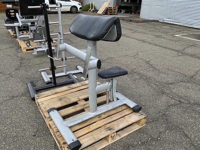Gym80 signum biceps curl krachtstation - afbeelding 2 van  4
