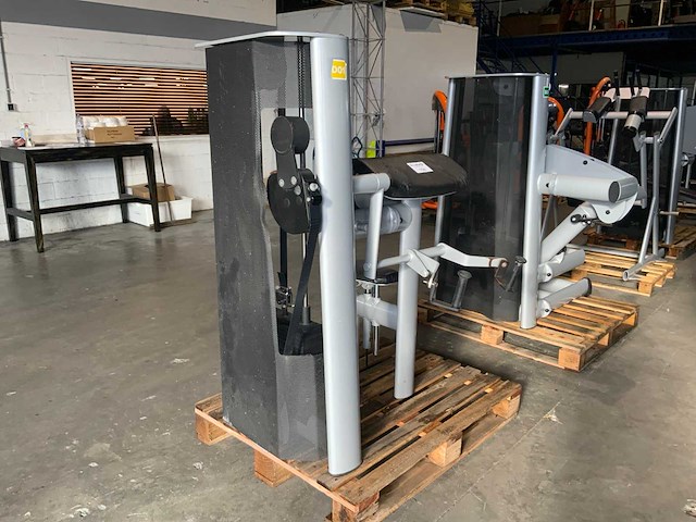 Gym80 signum biceps curl krachtstation - afbeelding 3 van  4