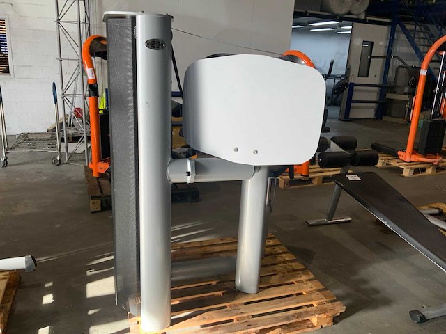 Gym80 signum delt raise krachtstation - afbeelding 3 van  4