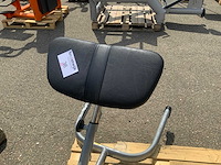 Gym80 signum hyperextension krachtstation - afbeelding 3 van  3