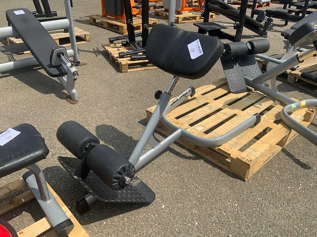 Gym80 signum hyperextension krachtstation - afbeelding 3 van  3