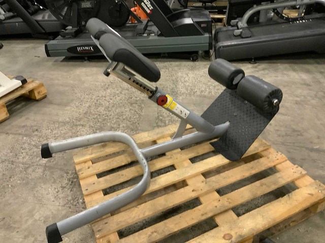 Gym80 signum hyperextension krachtstation - afbeelding 1 van  1