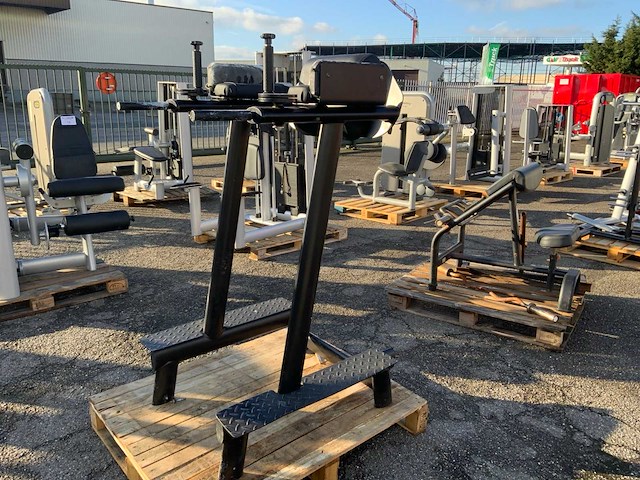 Gym80 signum legraise/dip krachtstation - afbeelding 4 van  4