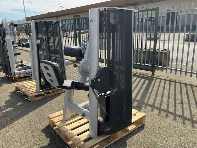 Gym80 signum lowerback krachtstation - afbeelding 3 van  3