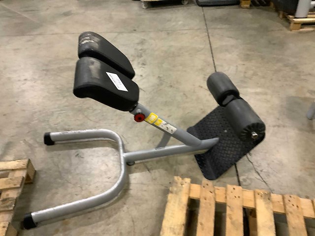 Gym80 signum lowerback krachtstation - afbeelding 1 van  5