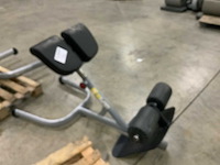 Gym80 signum lowerback krachtstation - afbeelding 2 van  5