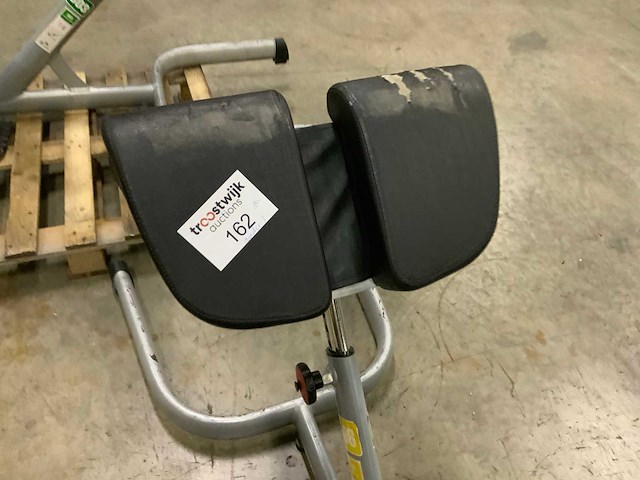 Gym80 signum lowerback krachtstation - afbeelding 4 van  5