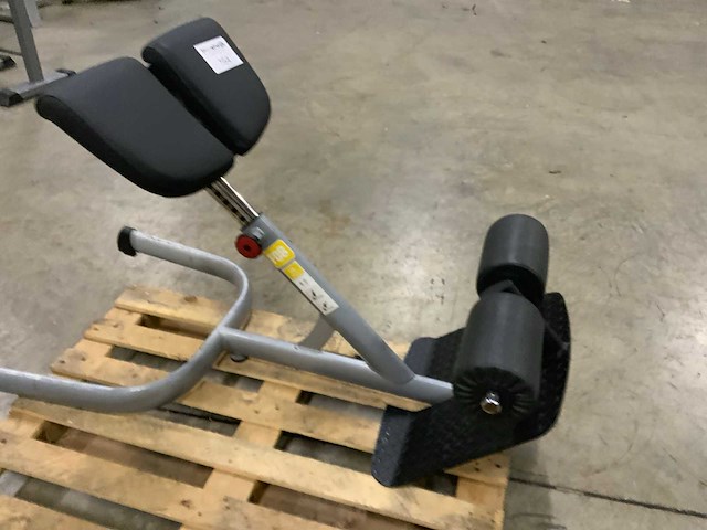 Gym80 signum lowerback krachtstation - afbeelding 5 van  5