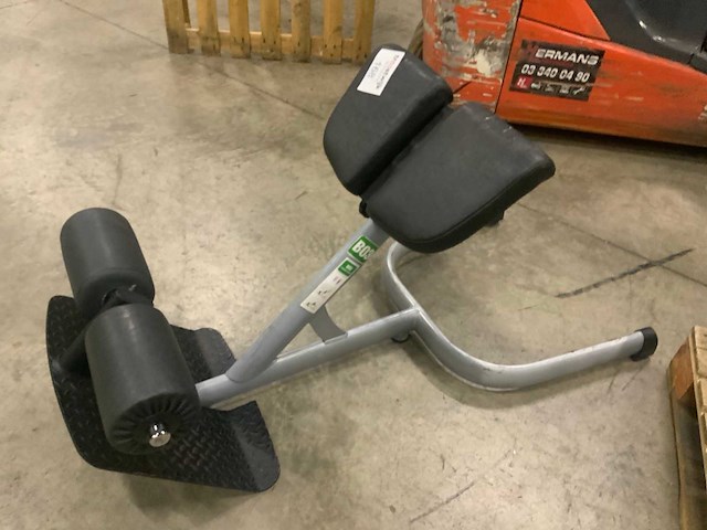 Gym80 signum lowerback krachtstation - afbeelding 3 van  3