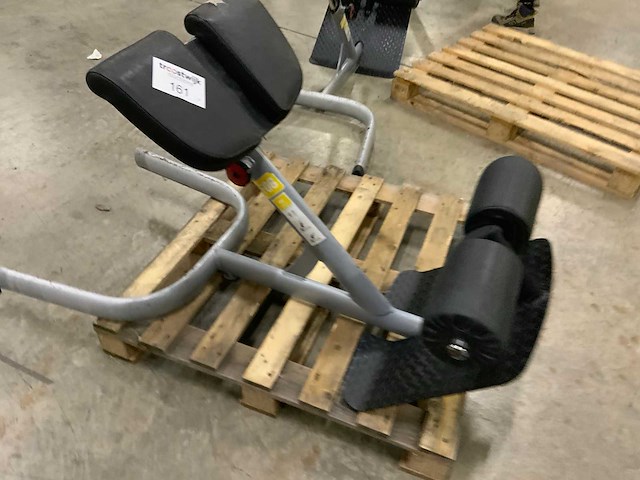 Gym80 signum lowerback krachtstation - afbeelding 1 van  3