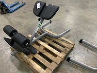 Gym80 signum lowerback krachtstation - afbeelding 2 van  3