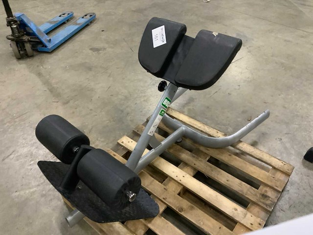 Gym80 signum lowerback krachtstation - afbeelding 3 van  3