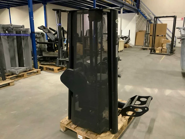Gym80 signum lowerback krachtstation - afbeelding 5 van  5