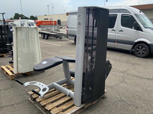 Gym80 signum phrone legcurl krachtstation - afbeelding 6 van  6