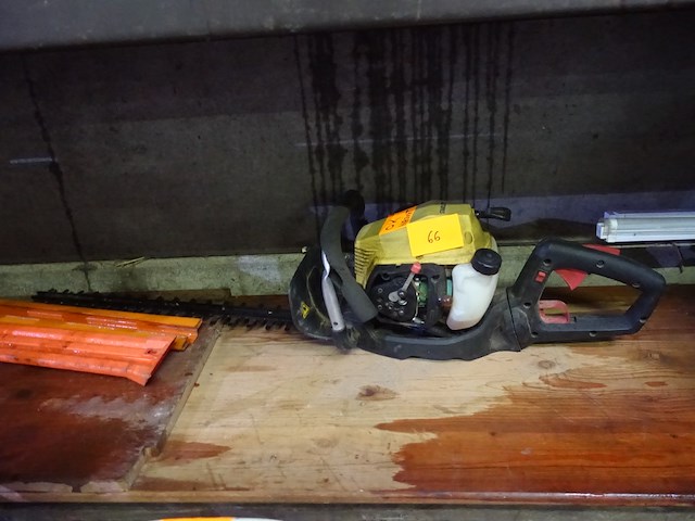 Haagschaar stanley (na te zien!) - afbeelding 3 van  4