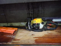 Haagschaar stanley (na te zien!) - afbeelding 3 van  4