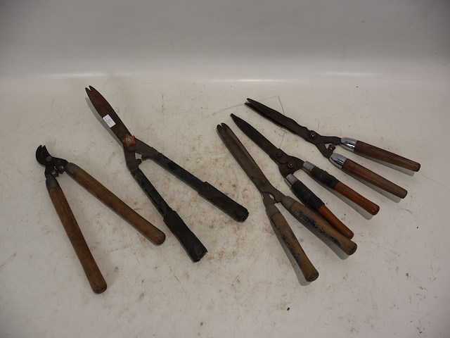 Haagschaar (x5) - afbeelding 1 van  5