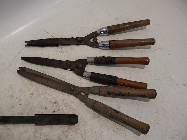 Haagschaar (x5) - afbeelding 2 van  5