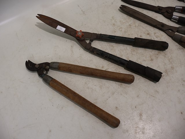 Haagschaar (x5) - afbeelding 3 van  5