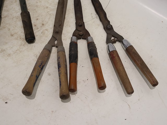 Haagschaar (x5) - afbeelding 5 van  5