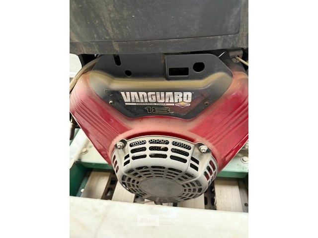 Hakselaar billy goat - afbeelding 3 van  5