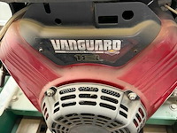 Hakselaar billy goat - afbeelding 3 van  5