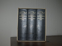 Halfhoge oude kast 2 deuren 1 lade afm. 110x52x163, houten kastje 1 deur afm. 50x47x85, 3-delige woordenboek van dale, borstbeeld - afbeelding 3 van  12