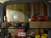 Halloween decoratie - afbeelding 1 van  4