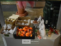 Halloween decoratie - afbeelding 1 van  5